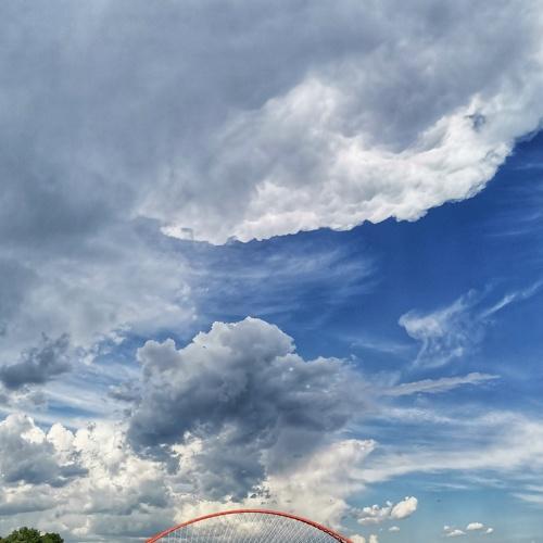 Photo #4601140