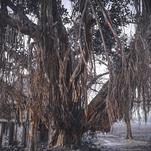 বার্ধক্য