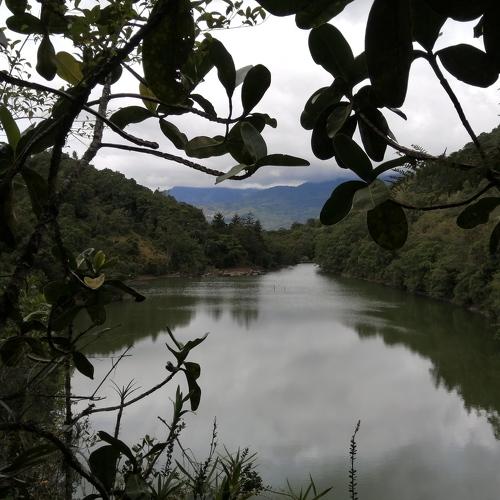 Photo #4601164