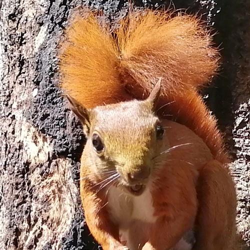 Photo #4601166