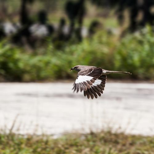 Photo #4601222