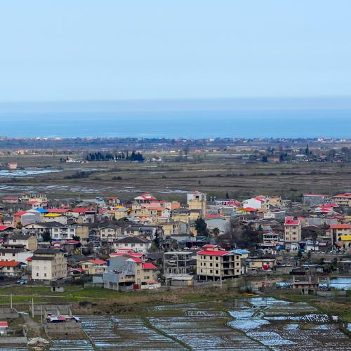 Photo #4601393