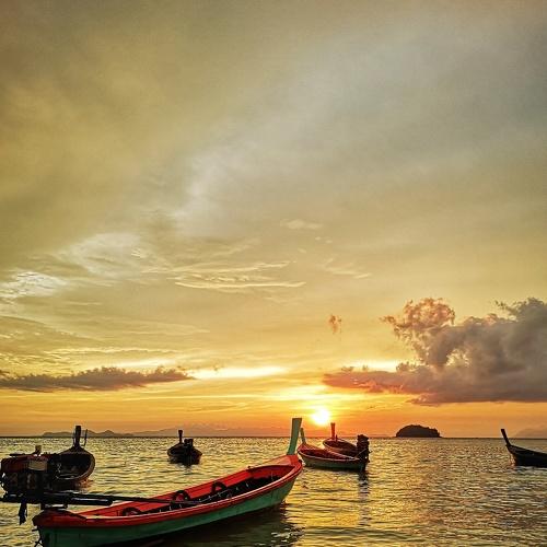Photo #4601460
