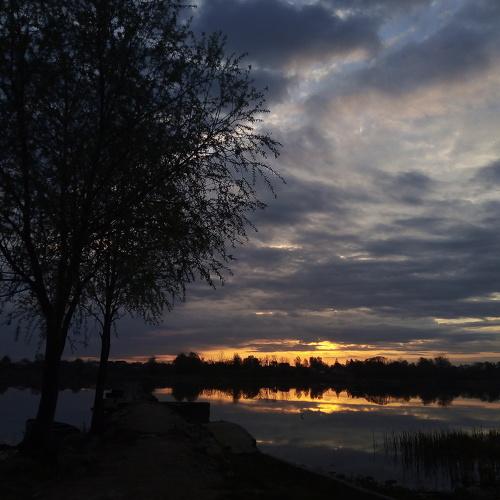 Photo #4601666