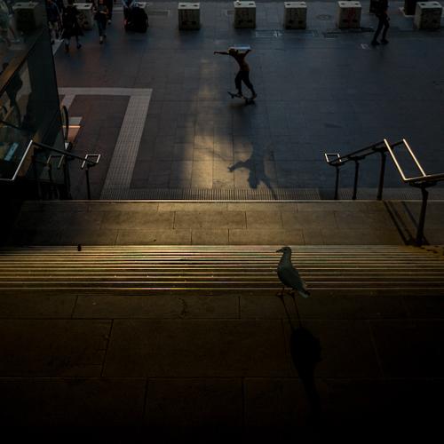 Photo #4601763