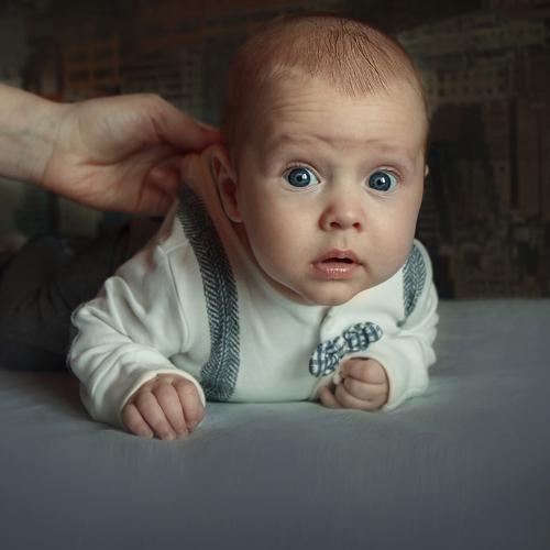 Photo #4602360
