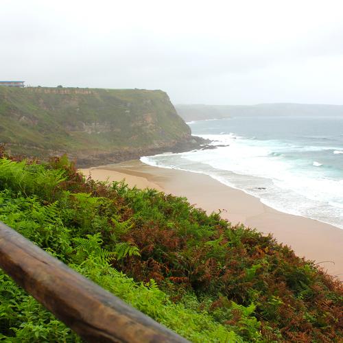 Photo #4602627