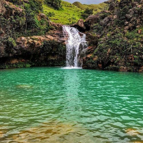 Photo #4602697