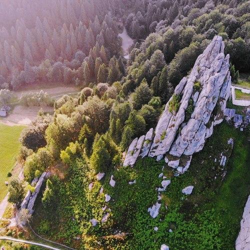 Photo #4602803