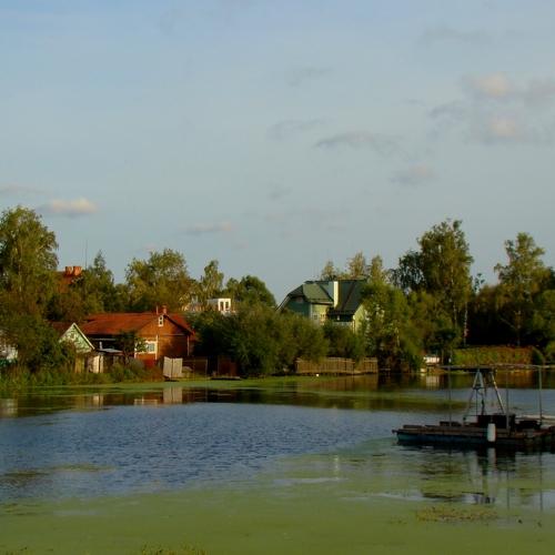 Photo #4602873