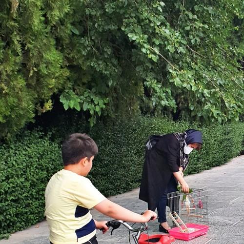 Photo #4602995