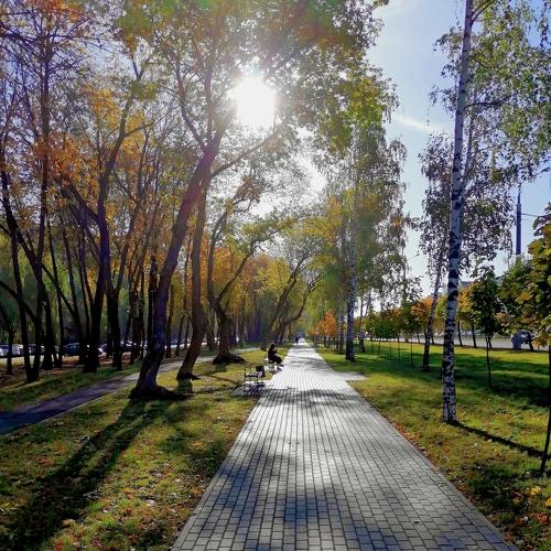 Photo #4602996