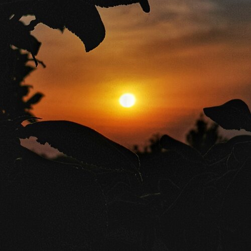 Photo #4603129