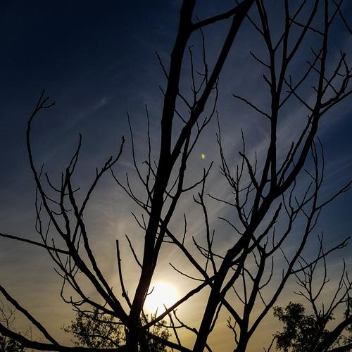 Photo #4603228