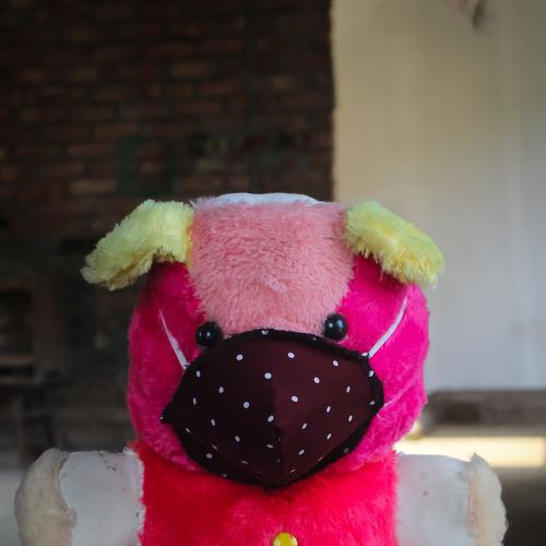 Photo #4603233