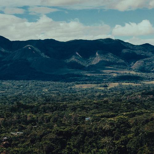 Selva del Perú