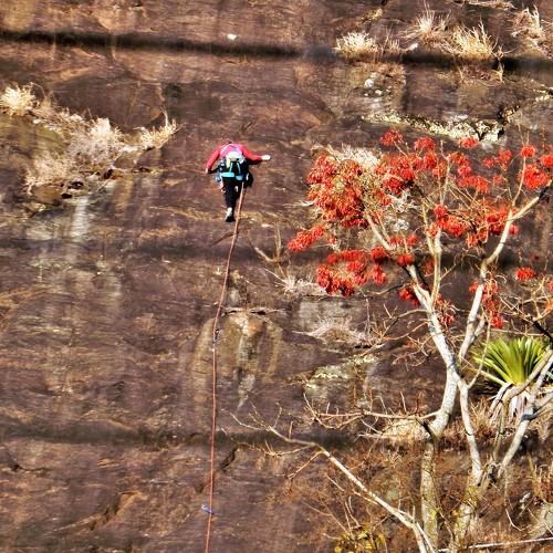 Photo #4603474