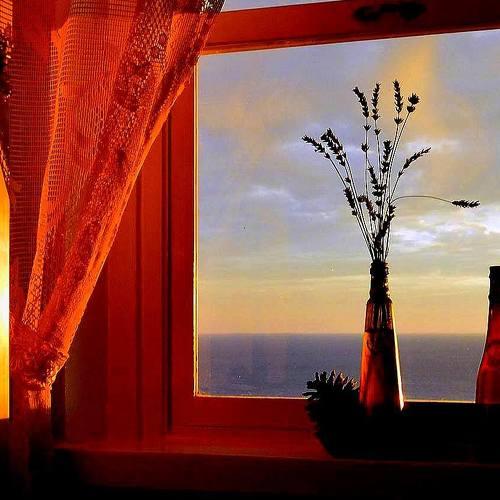 Photo #4603526