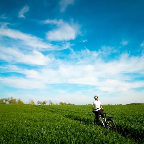 Photo #4603549