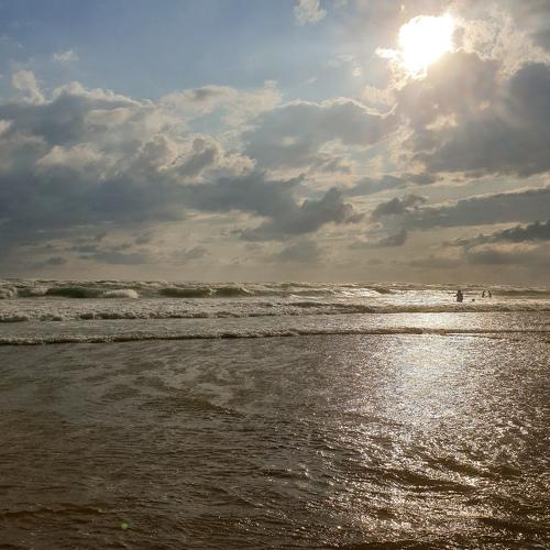 Photo #4603589