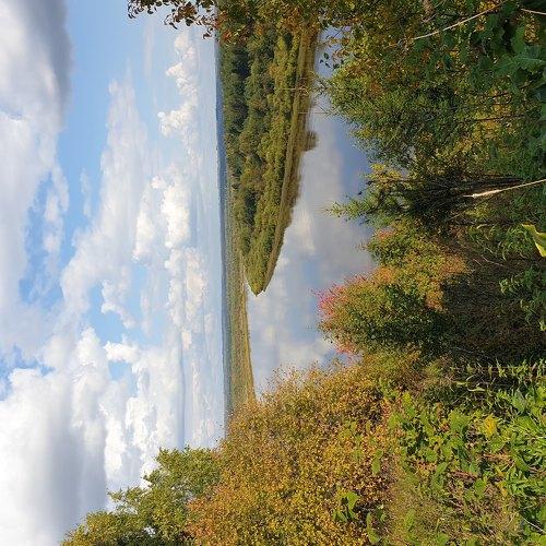 Photo #4603592