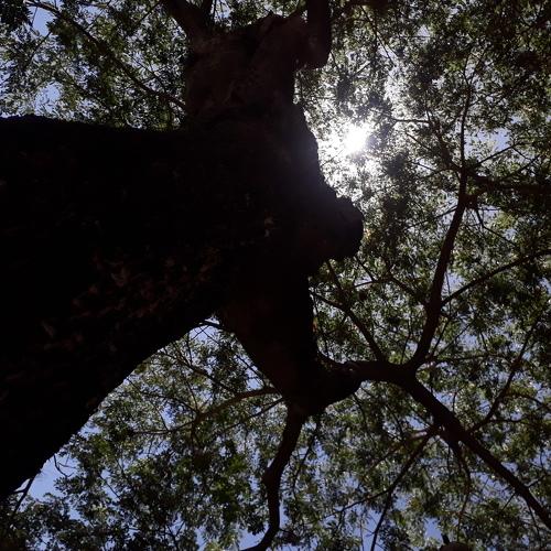 Photo #4603801