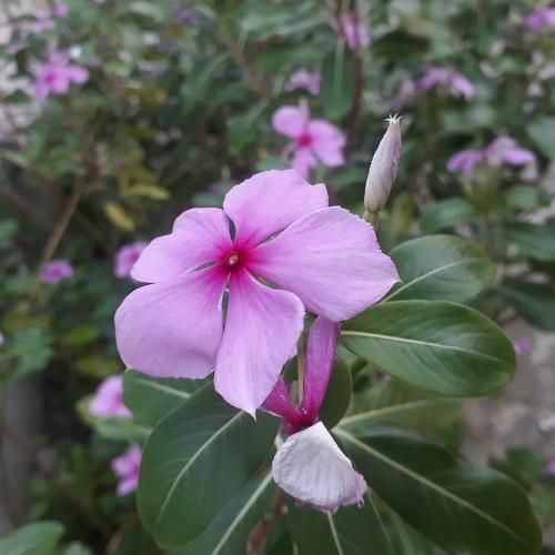 Photo #4603805