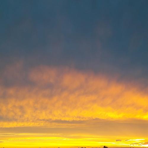 Photo #4603863