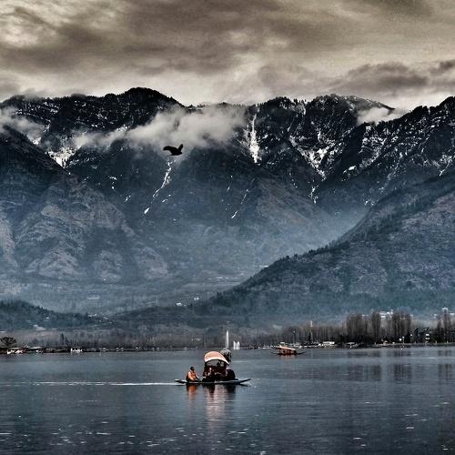 Photo #4603938