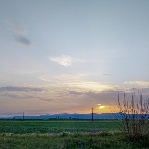 Photo #4604382