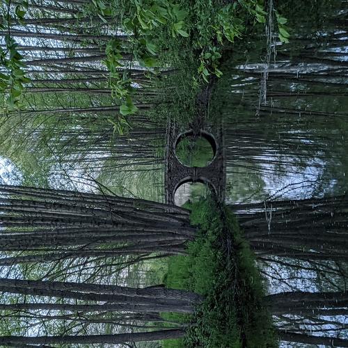 Photo #4604821