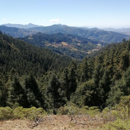 Photo #4604873