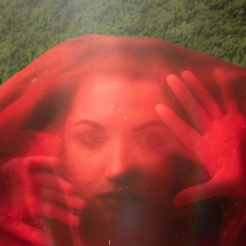 Photo #4604910
