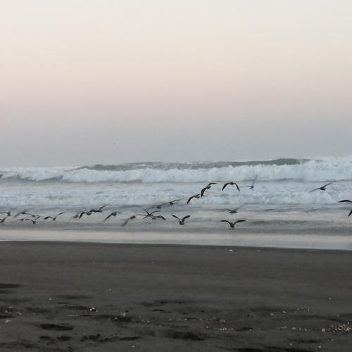 Photo #4605158