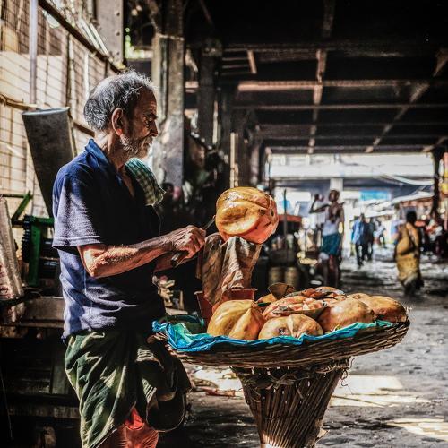 Livelihood