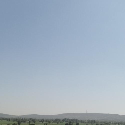 Photo #4605201