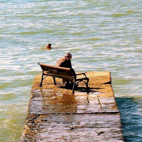 Photo #4605233