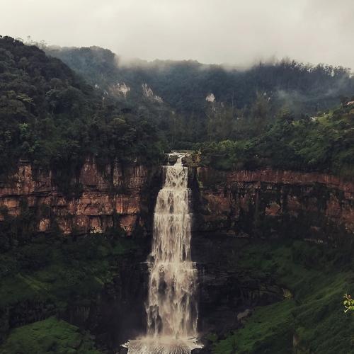 Photo #4605268