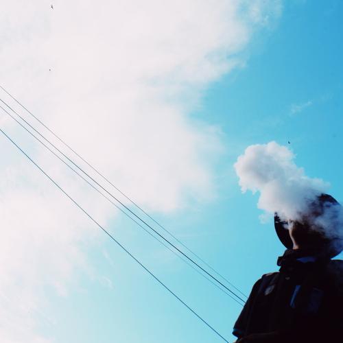 Photo #4605304
