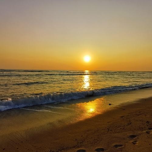 Photo #4605496