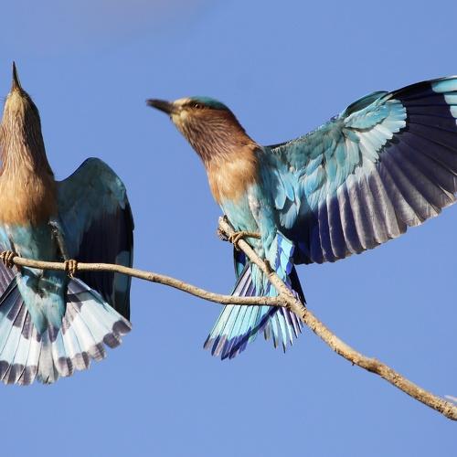 Photo #4605526