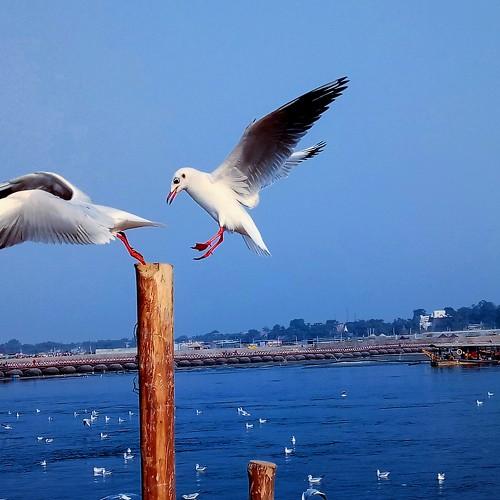 Photo #4605696