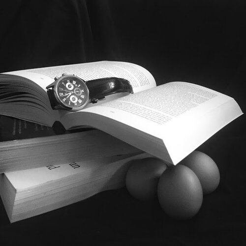 Photo #4605708