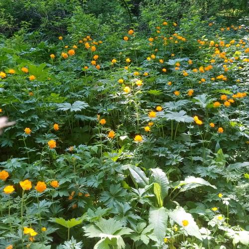 Photo #4605996