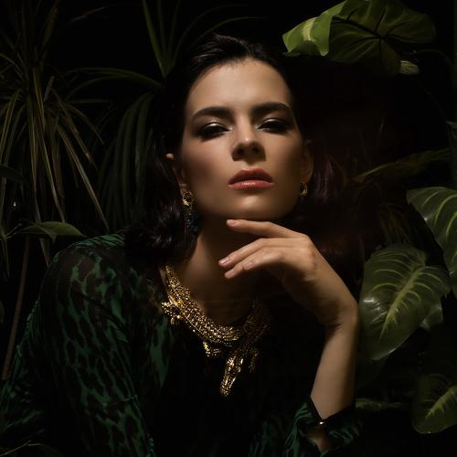 Photo #4606044