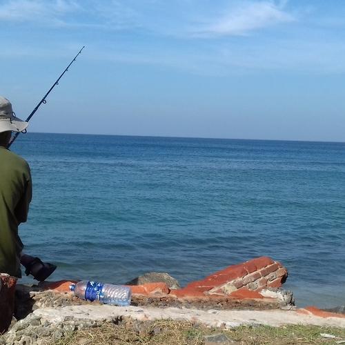 Photo #4606511