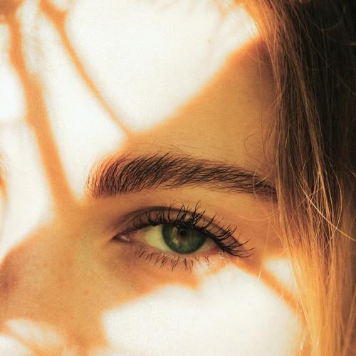 Photo #4606936