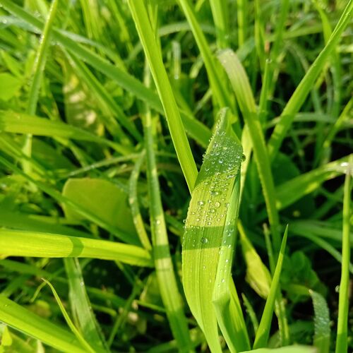 Photo #4606952