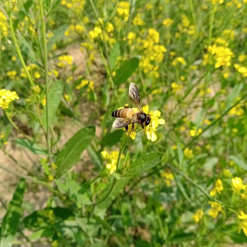 Photo #4606961