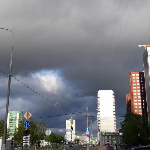 Photo #4607141